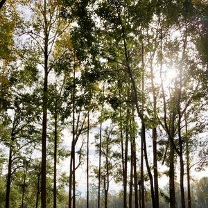 Meet your Posher, Jacquelyn